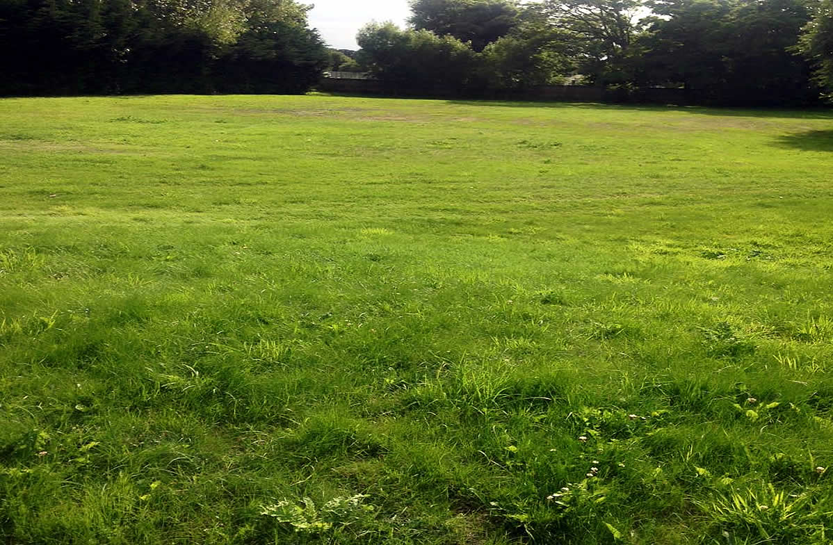 Formby Boarding Kennels